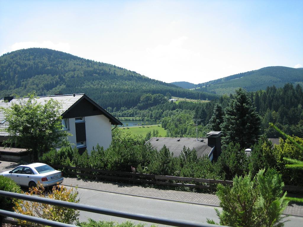 Ferienwohnung Inge Steinrücken Winterberg Habitación foto